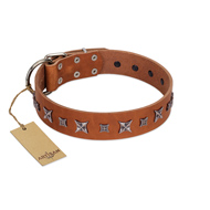 "Star Shine" Exclusive FDT Artisan Tan Leather Central Asian Shepherd Collar with Silver-Like Adornments