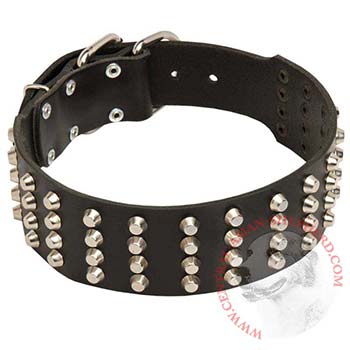 2 Inches Leather   Central Asian Shepherd Collar Extra Wide Studded