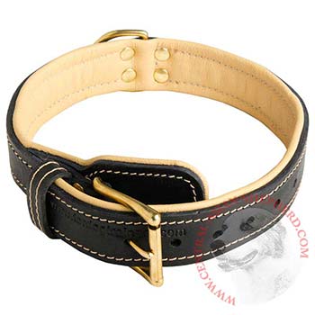 Central Asian Shepherd Collar Padded Adjustable for Dog Walking, Training