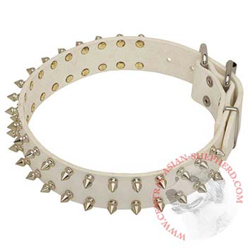 Spiked White Leather Collar for Central Asian Shepherd Walking