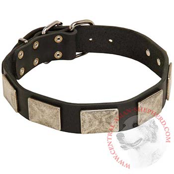 Walking Leather Central Asian Shepherd Collar