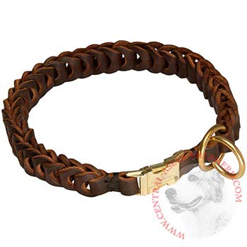 Central Asian Shepherd Leather Collar Braided Design