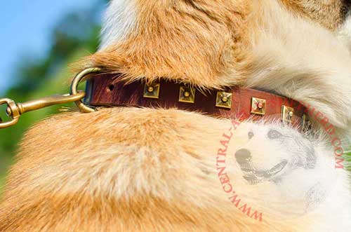Brass Square Studs Serve for Central Asian  Shepherd Leather Collar Decoration 