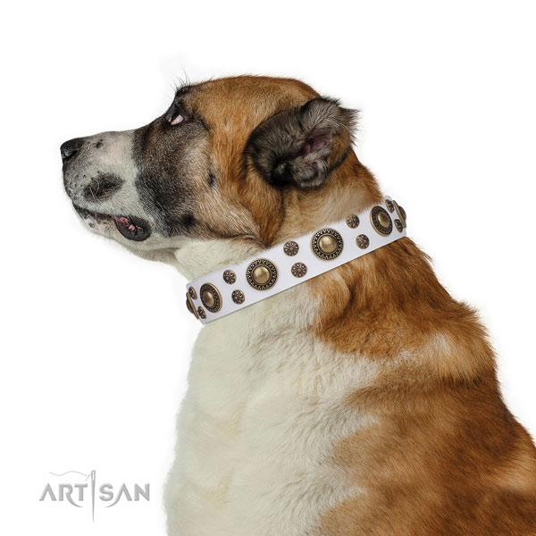 Comfortable wearing embellished dog collar of best quality material