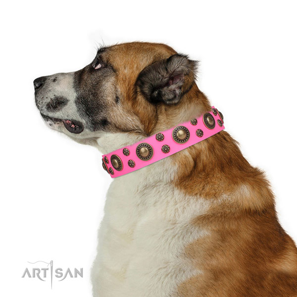 Easy wearing decorated dog collar of high quality material