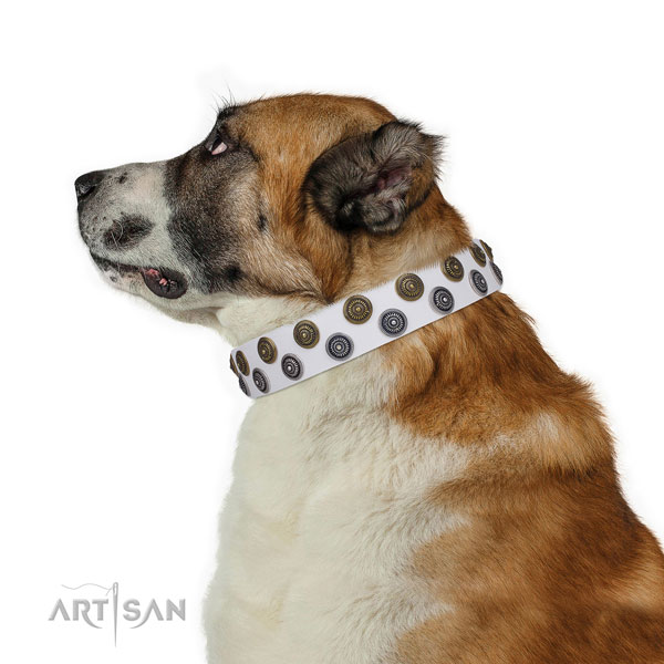 Easy wearing studded dog collar of best quality material