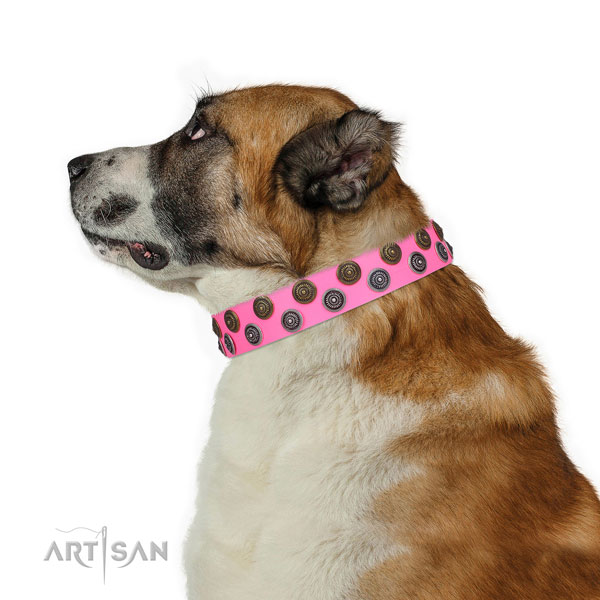 Handy use adorned dog collar of durable material