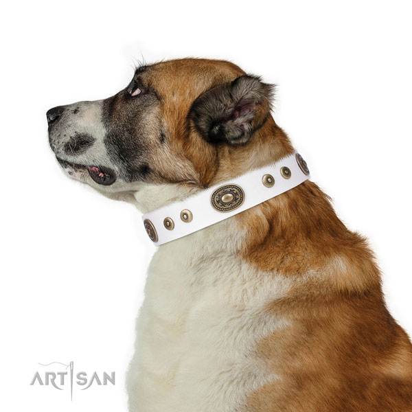 Designer embellished genuine leather dog collar for comfy wearing