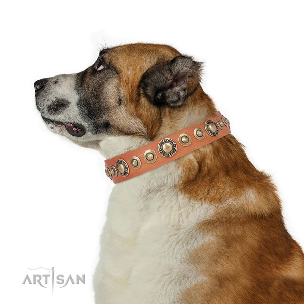 Rust-proof buckle and D-ring on full grain leather dog collar for daily use