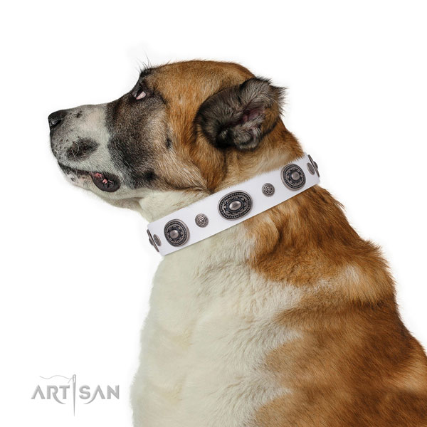 Natural leather dog collar with rust resistant buckle and D-ring for everyday walking