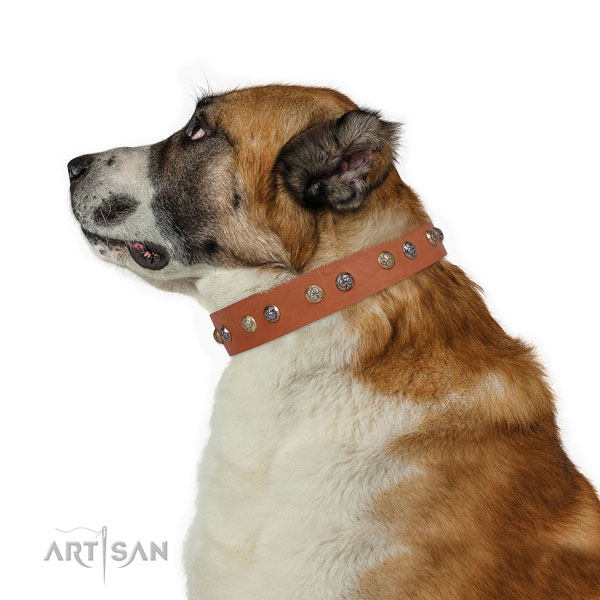 Genuine leather dog collar with rust-proof buckle and D-ring for everyday use