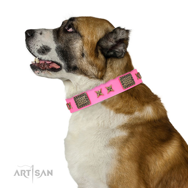 Exquisite adornments on everyday walking full grain genuine leather dog collar