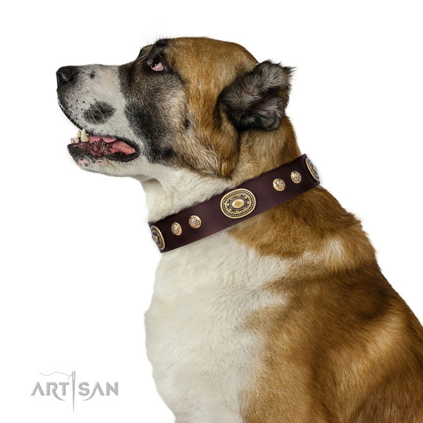 Incredible embellishments on daily walking dog collar