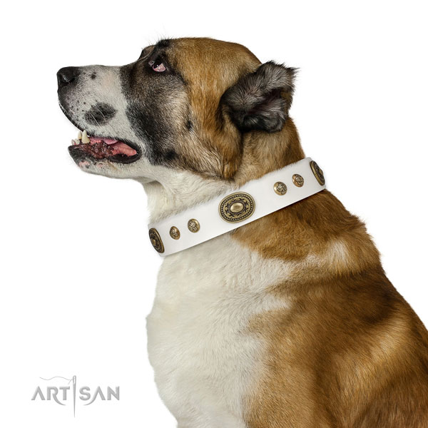 Stunning embellishments on comfortable wearing dog collar