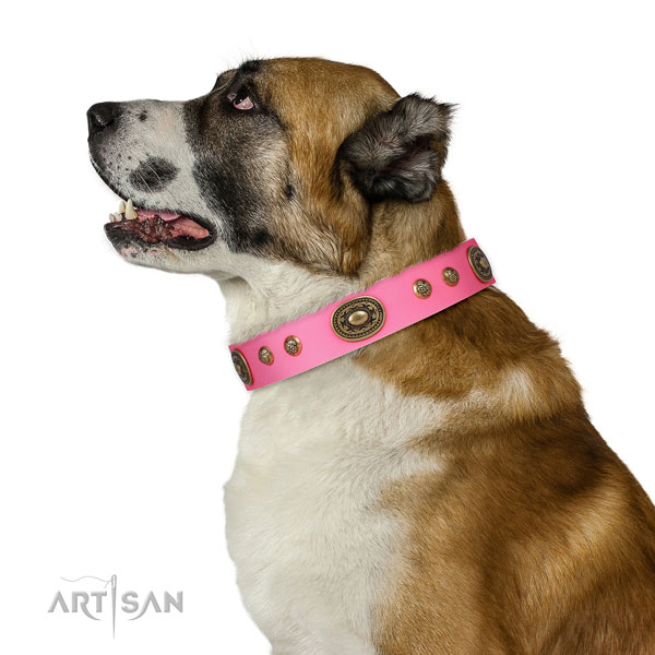 Stylish adornments on fancy walking dog collar
