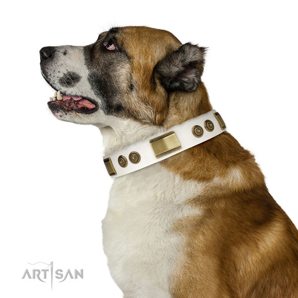 Quality easy wearing dog collar of natural leather