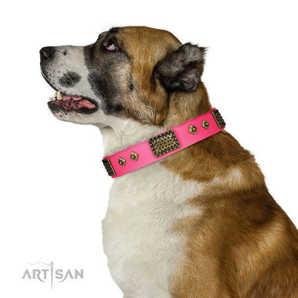 Adorned leather collar for your stylish four-legged friend