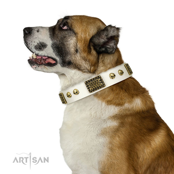 Durable traditional buckle on full grain genuine leather dog collar for everyday walking