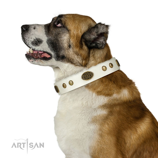 Corrosion resistant D-ring on genuine leather dog collar for basic training