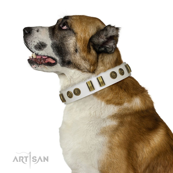 Stylish walking dog collar of leather with stunning decorations