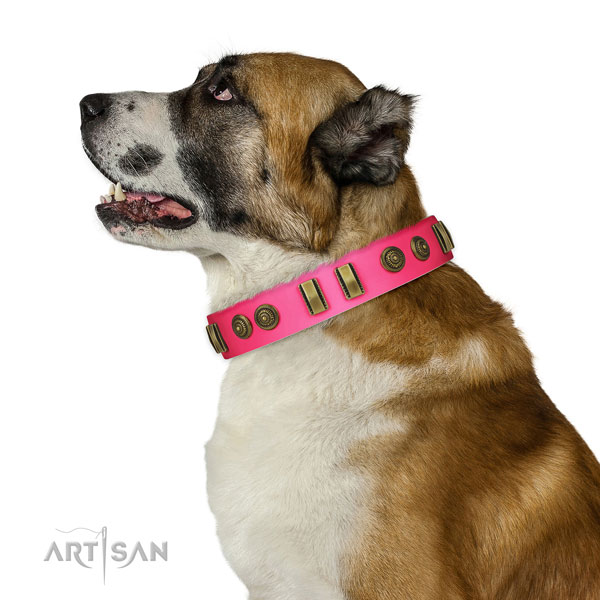 Easy wearing dog collar of natural leather with top notch embellishments