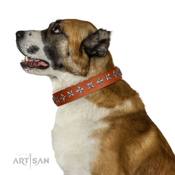 Reliable full grain natural leather dog collar with trendy decorations