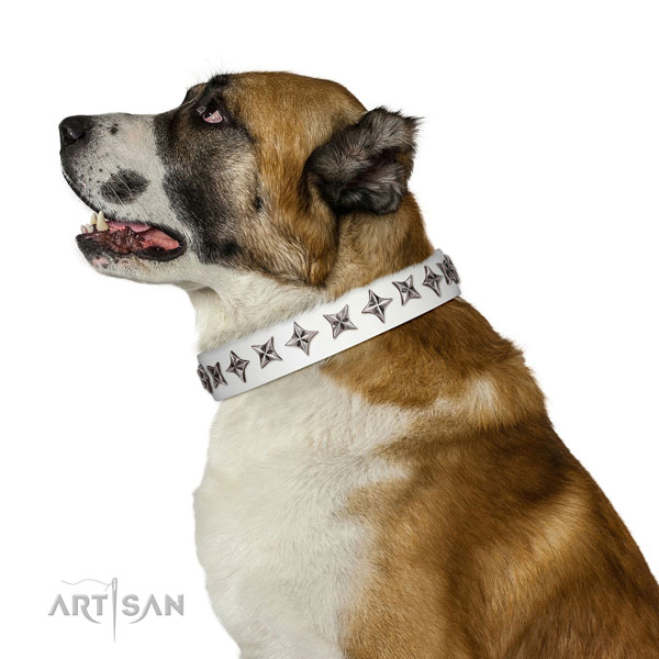 Strong full grain natural leather dog collar with fashionable adornments