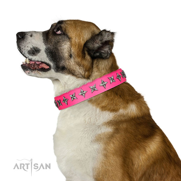 Fine quality full grain genuine leather dog collar with inimitable studs