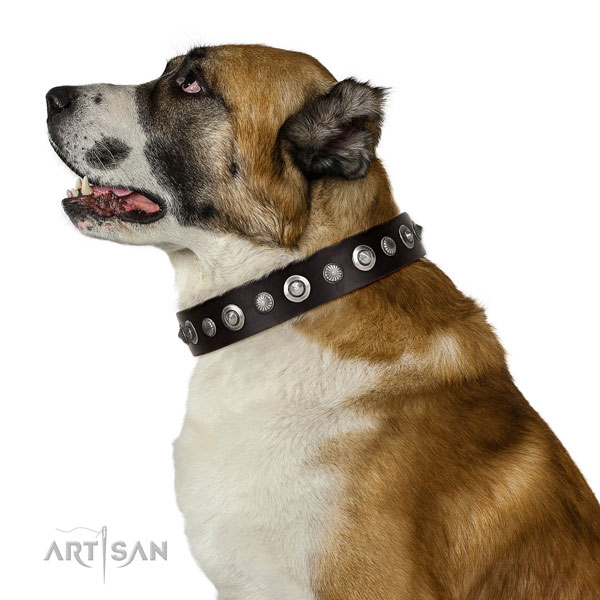 Top notch leather dog collar with exquisite studs