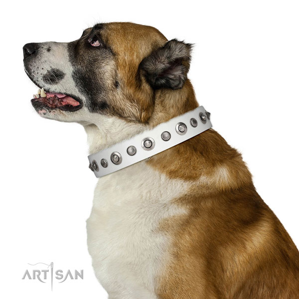 Full grain genuine leather collar with strong traditional buckle for your handsome canine