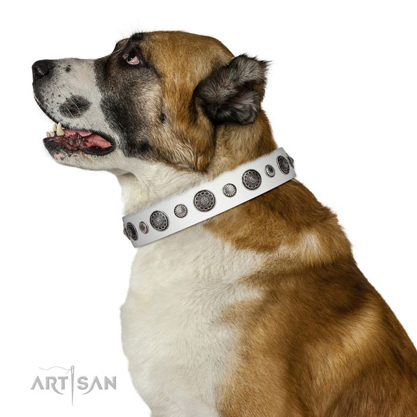 Easy to adjust Full grain natural leather dog collar with corrosion resistant fittings