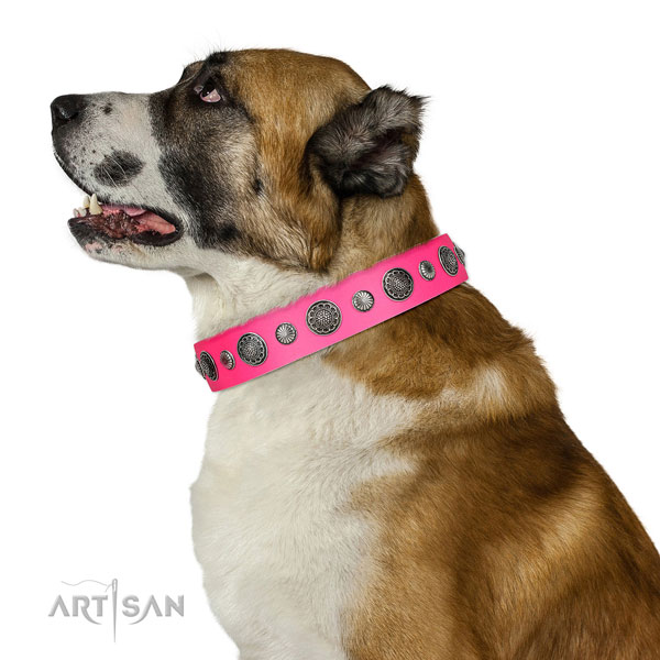 Adjustable genuine leather dog collar with corrosion resistant traditional buckle