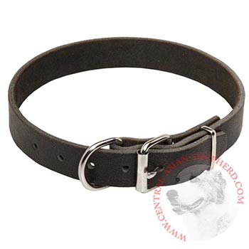 Dog Leather Collar for Central Asian Shepherd Training and Walking