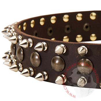 Central Asian Shepherd Leather Collar with Hand Set Spikes And Studs