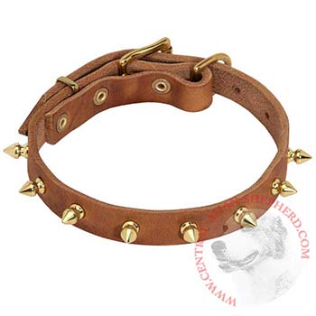 Designer Leather Collar for Central Asian Shepherd