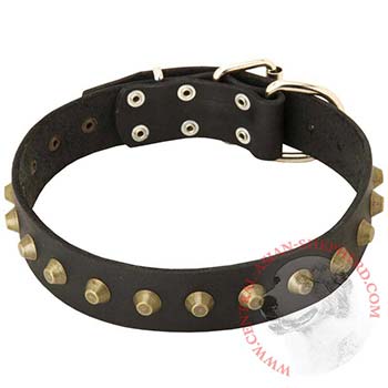 Leather Central Asian Shepherd Collar