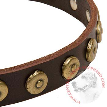 Central Asian Shepherd Collar with Stylish Circles