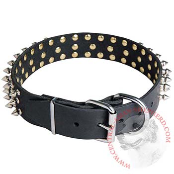Spiked Buckle Collar for Central Asian Shepherd