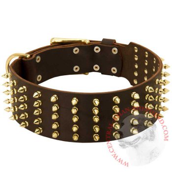 Leather Central Asian Shepherd Collar with Solid Buckle and D-ring