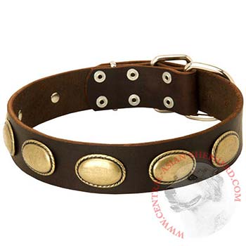 Fashsion Leather Collar with Vintage Plates