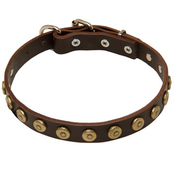 1 inch Wide Leather Central Asian Shepherd Collar