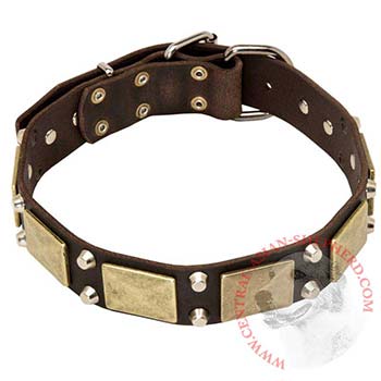 Nickel Studded Leather BRED-NAME Collar