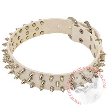 Spiked White Leather Collar for Central Asian Shepherd Walking