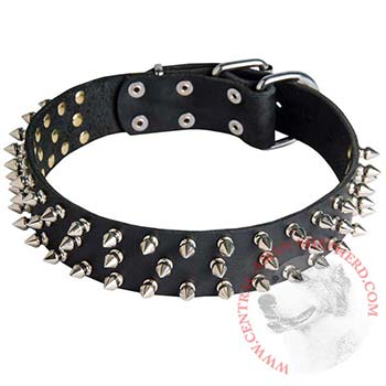 Leather Central Asian Shepherd Collar with Spikes