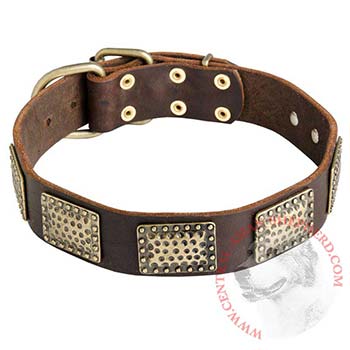 Leather Dog Collar with Vintage Plates