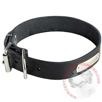 Leather Central Asian Shepherd Collar for Identification