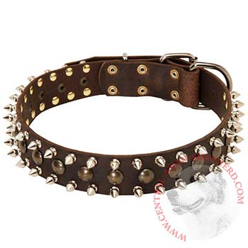 Central Asian Shepherd Leather Collar with Stylish Decoration