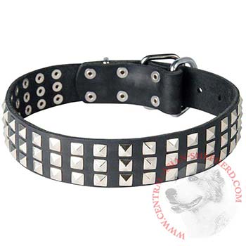 Studded Central Asian Shepherd Collar