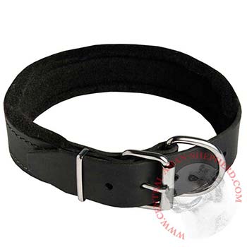 Padded Walking Gear for Central Asian Shepherd Training