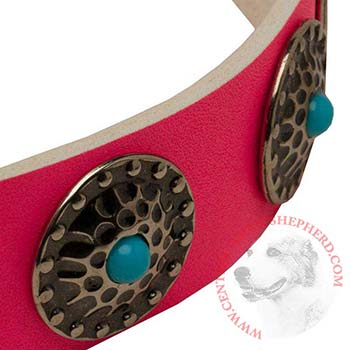 Pink Central Asian Shepherd Collar Leather with Blue Stones